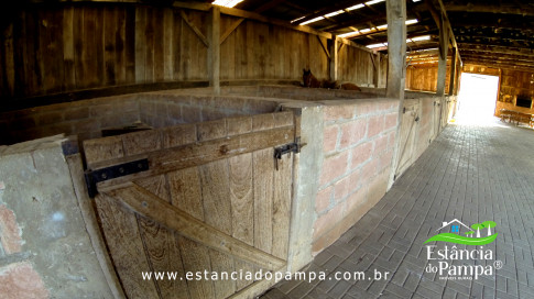 DOS EÓLICOS VIRA P FAZENDA_Moment.00_04_28_18.Quadro412_86ca43103d15ec70c92518e5ad1ceea1f88cbf5b.jpg